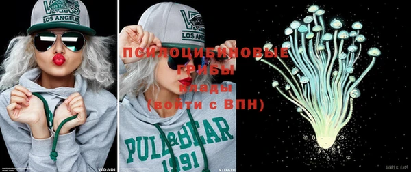 прущий лед Пестово